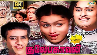 Gulebakavali Movie 8K Full Comedy | M. G. R | T. R. Rajakumari | MSViswanathan | Raj 8k Comedy