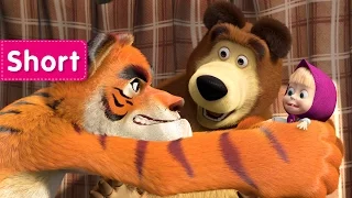 Masha and The Bear - Stripes and Whiskers (Masha and the Tiger) Furry Friends!