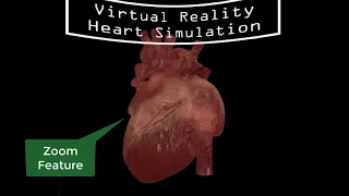 An Interactive Virtual Reality Based Visualization of Normal Heart Function