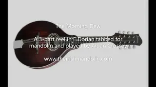 The Morning Dew - a 3-part reel in E Dorian tabbed for mandolin and played by Aidan Crossey