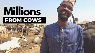 You Can't Believe How Much He Makes From Cow Business