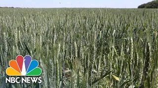 President Zelenskyy Warns Black Sea Blockade Could Spark Global Food Crisis