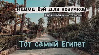 Naama bay для новичков , а для «бывалых» ностальгия. Экскурсии в Шарм Эль Шейх от Лены