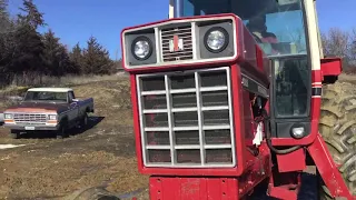 1981 International 1086 2WD Tractor