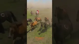 The Shocking Scene Of Thousands Of Horses Galloping In Xinjiang