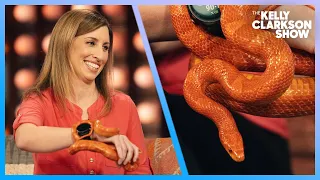 The Snake Lady Explains Why People Shouldn't Be Afraid Of Snakes