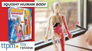 Squishy Human Body from SmartLab | Science Toy Review | Explore and Learn about the Human Anatomy