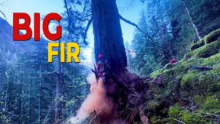 Big Fir Country | New Block Deep in the Coastal Mountains of BC