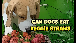 Can Dogs Eat Veggie Straws