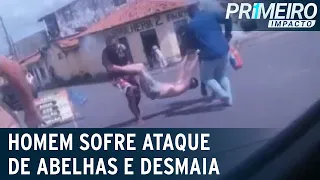 Homem é atacado por abelhas e é socorrido por populares | Primeiro Impacto (04/05/23)