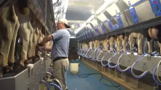 How 100% Canadian milk gets from farm to table?