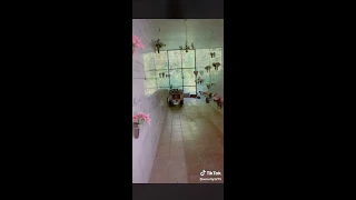 Tiktok security 9886 video (HAUNTED)