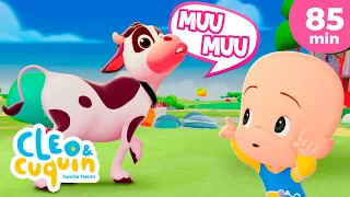 Por la bahía: adivina los animales 🐮 y más canciones infantiles para bebés con Cleo y Cuquín