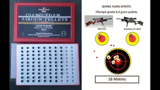 QYS Sports Olympic pellets through the BSA R10 & Daystate Air Wolf (Part One)