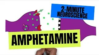 2-Minute Neuroscience: Amphetamine