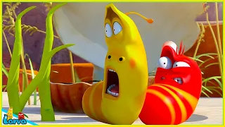 Larva Animation New Episodes 2024 : Scared | Best Cartoons 2024 | Comics | Cartoon Compilation