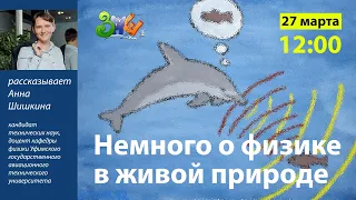 Лекция «Немного о физике в живой природе» | Прямая трансляция с Зимней Пущинской Школы