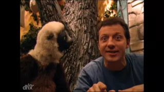 Zoboomafoo COMP 5 | La nuit - Grimper