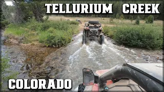 Fast Riding on Tellurium Creek Trail 584 | Taylor Park | Colorado | Off-Road SXS