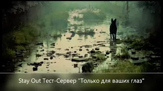 Stay Out///Stalker-Online///   Тест-Сервер  "Только для ваших глаз"