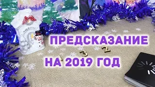 Личный прогноз на 2019 год от нумеролога Анны Свет