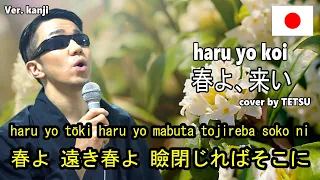 春よ、来い(haru yo koi) / 松任谷由実(Matsutoya Yumi) / ver. kanji / Japanese popular song / cover by TETSU