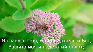 Я дивно устроен   КРАСИВАЯ ПЕСНЯ Петр Бальжик, Альбом Прикасаясь к вечности, 2018