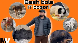 FARGONA IT BOZORI 2024 | BESH BOLA IT BOZORI | MUSINOV AKMAL