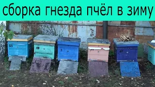 Сборка гнезда пчел в зиму. Саратовская обл. 20 сентября 2023
