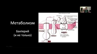 Цитология. Лекция 13. Фотосинтез: светозависимая стадия