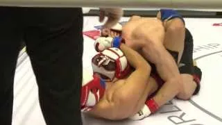 WMMAA World MMA Championship 2013 - Vasileios Karavasilis vs. Roman Stakhuv