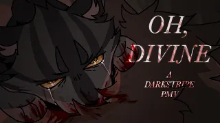 Oh, Divine… | A Darkstripe PMV (blood, gore)