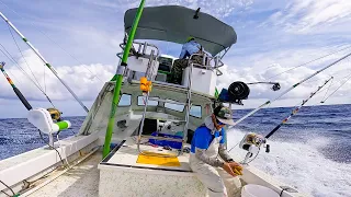 We Had to Give all the Fish Away! Fishing in Hawaii!