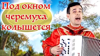 🎶 ДУШУ РАЗРЫВАЕТ ПАРЕНЬ! А как баян поет! Под окном черемуха колышется.