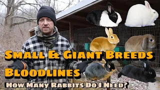 Small & Giant Breeds & Bloodlines
