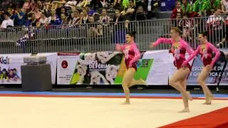 Gymnastics MIAC 2014 Senior WG Balance NED Flik Flak Dens Bo