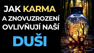 Příčiny smutku | Jak karma a znovuzrození ovlivňují naší duši?