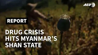 Drug crisis ravages Myanmar's Shan State