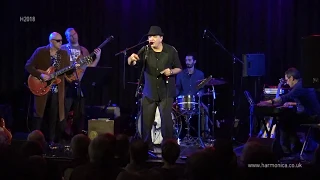 Rob Paparozzi - Sweet Home Chicago  @ 2018 NHL Bristol Harmonica Festival