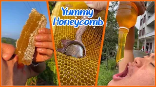 ABS Honey BEE | Best HoneyComb Eating ASMR | मधु का सेवन करना🎖️1