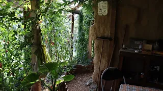 Passive solar strawbale greenhouse