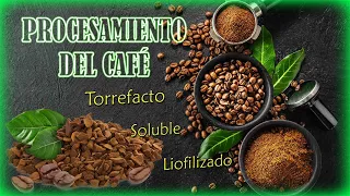 Como se hace el CAFÉ☕️: Torrefacto, Soluble y Liofilizado