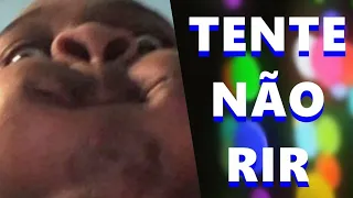 TENTE NÃO RIR / OS MELHORES MEMES - VIDEOS ENGRAÇADOS #42