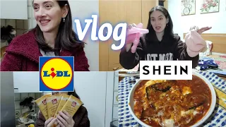 Vlog ⏰ un rato con nosotros 😁 Lidl 🛒 Shein