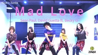 Mad Love - Sean Paul, David Guetta /Easy Dance Fitness Choreography / ZIN™ / Wook's Zumba® Story