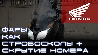 Стробоскопы и скрыть на скутере Honda NSS300 Forza Light Control PRO