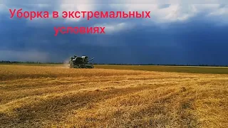 Финальная  стадия уборки пшеницы!!! 🌾🌾🌾Битва за урожай 2022!