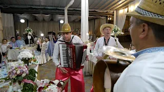 Цікаві кадри з весілля Людмили та Петра