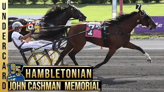 2020 John Cashman Memorial - Gimpanzee