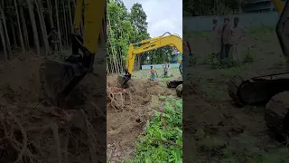 Removing Tree Stumps with Excavator